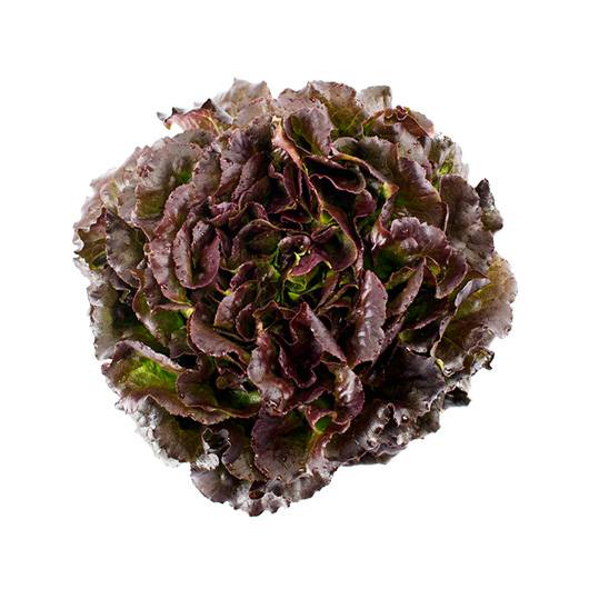 PF LETTUCE RED BATAVIA PER PIECES