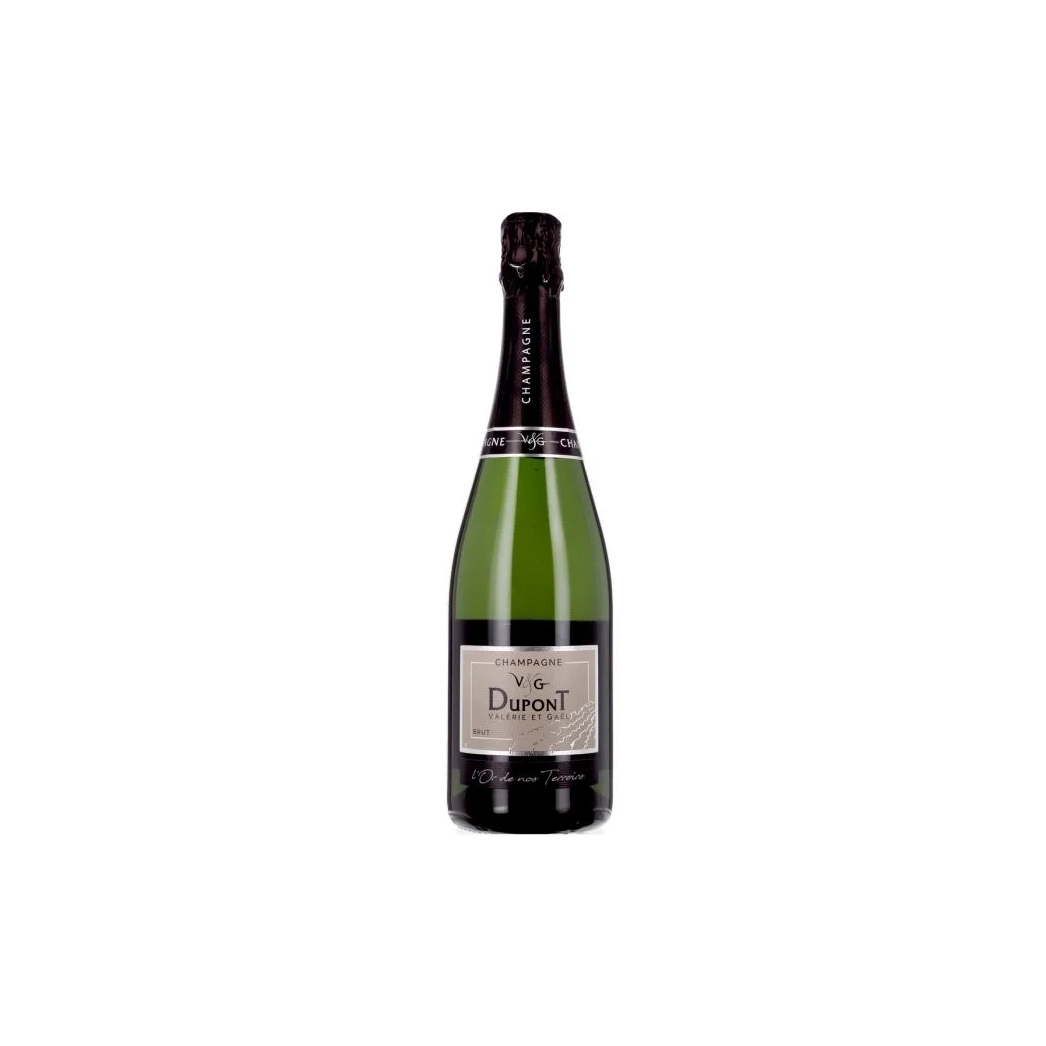 CHAMPAGNE V n G DUPONT ECLAT DE NOS TERROIS 75CL