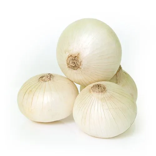 WHITE ONION PER KG