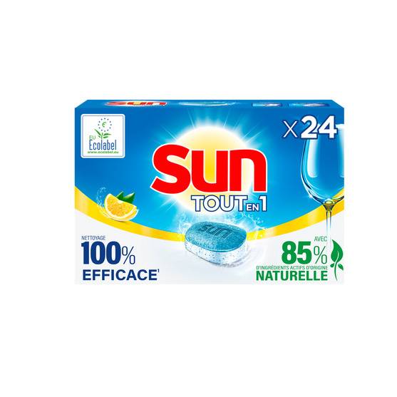 SUN TOUT EN 1 420G