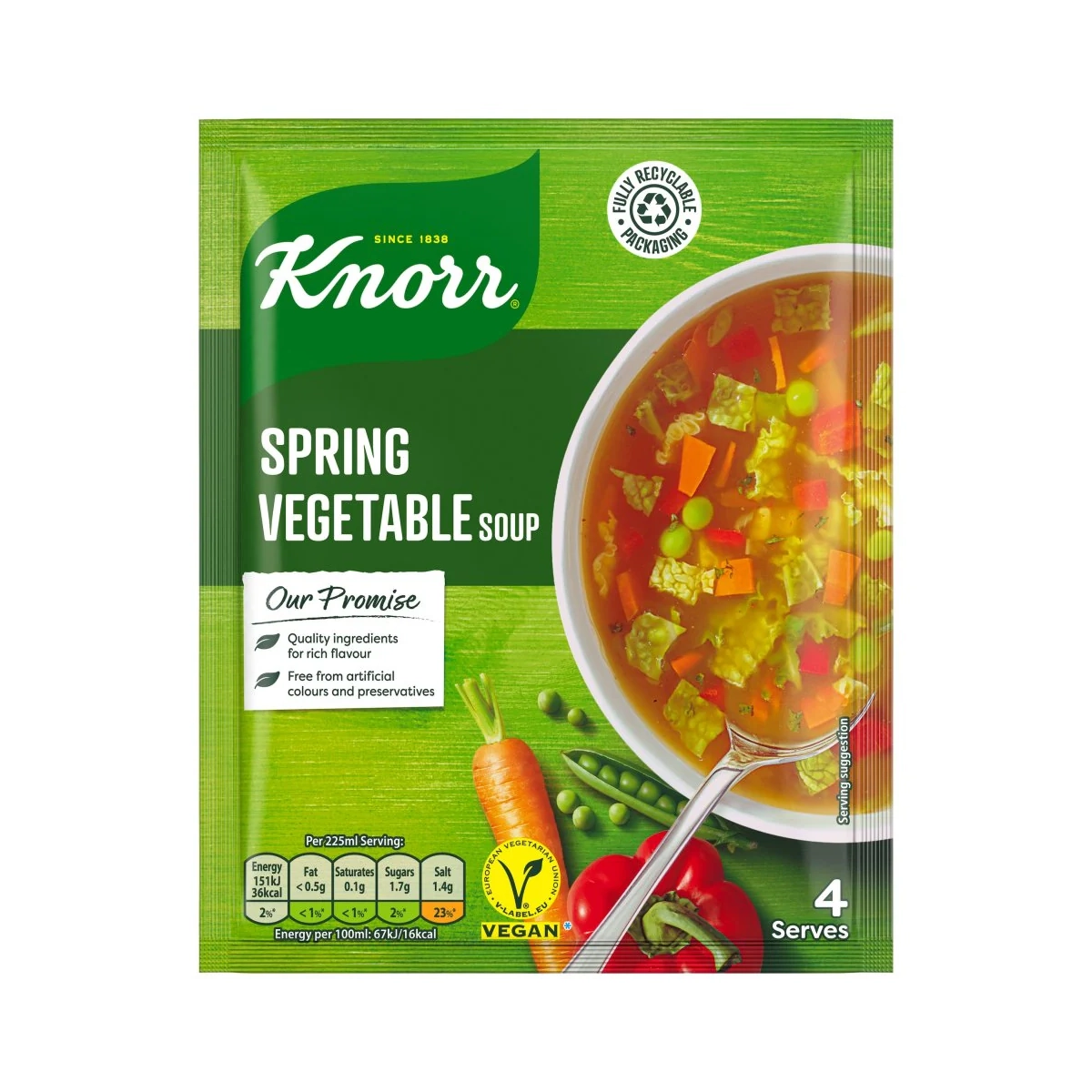 KNORR FLORIDA SPRING VEGETABLE SOUP 48G