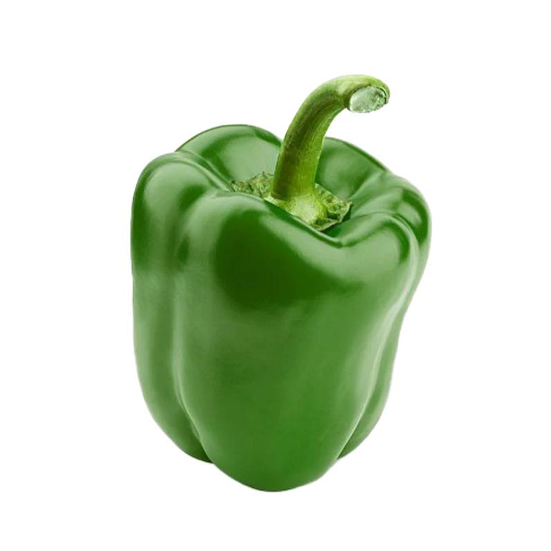 GREEN PEPPER