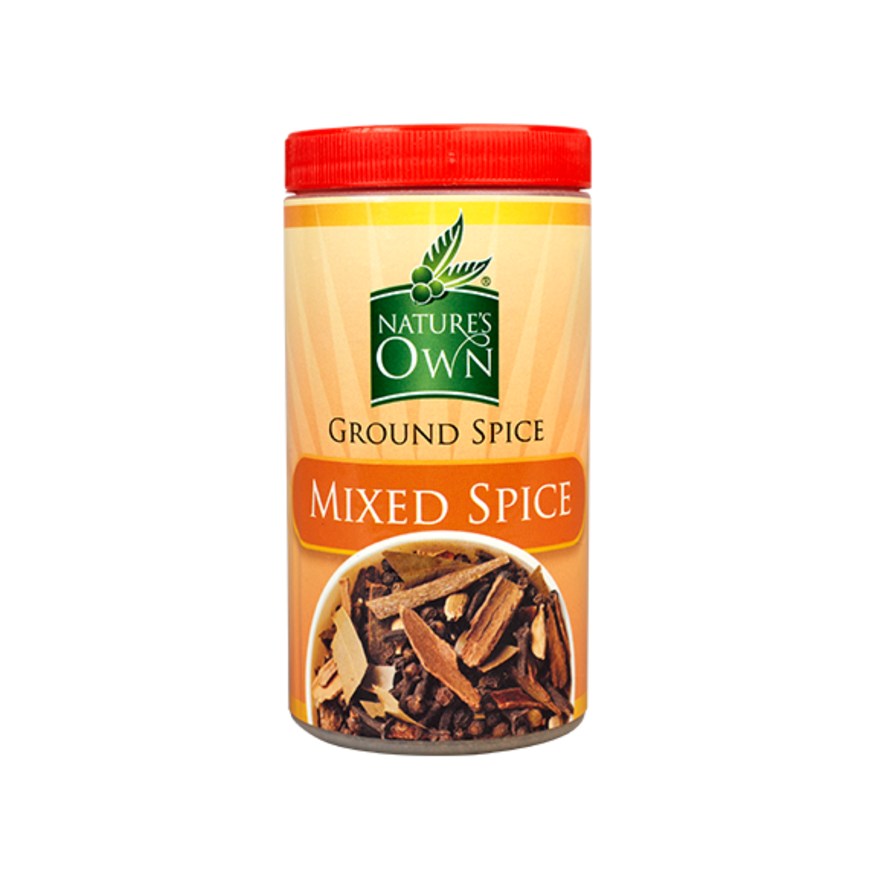 NATURES OWN GROUND SPICE CINNAMON 100GX6