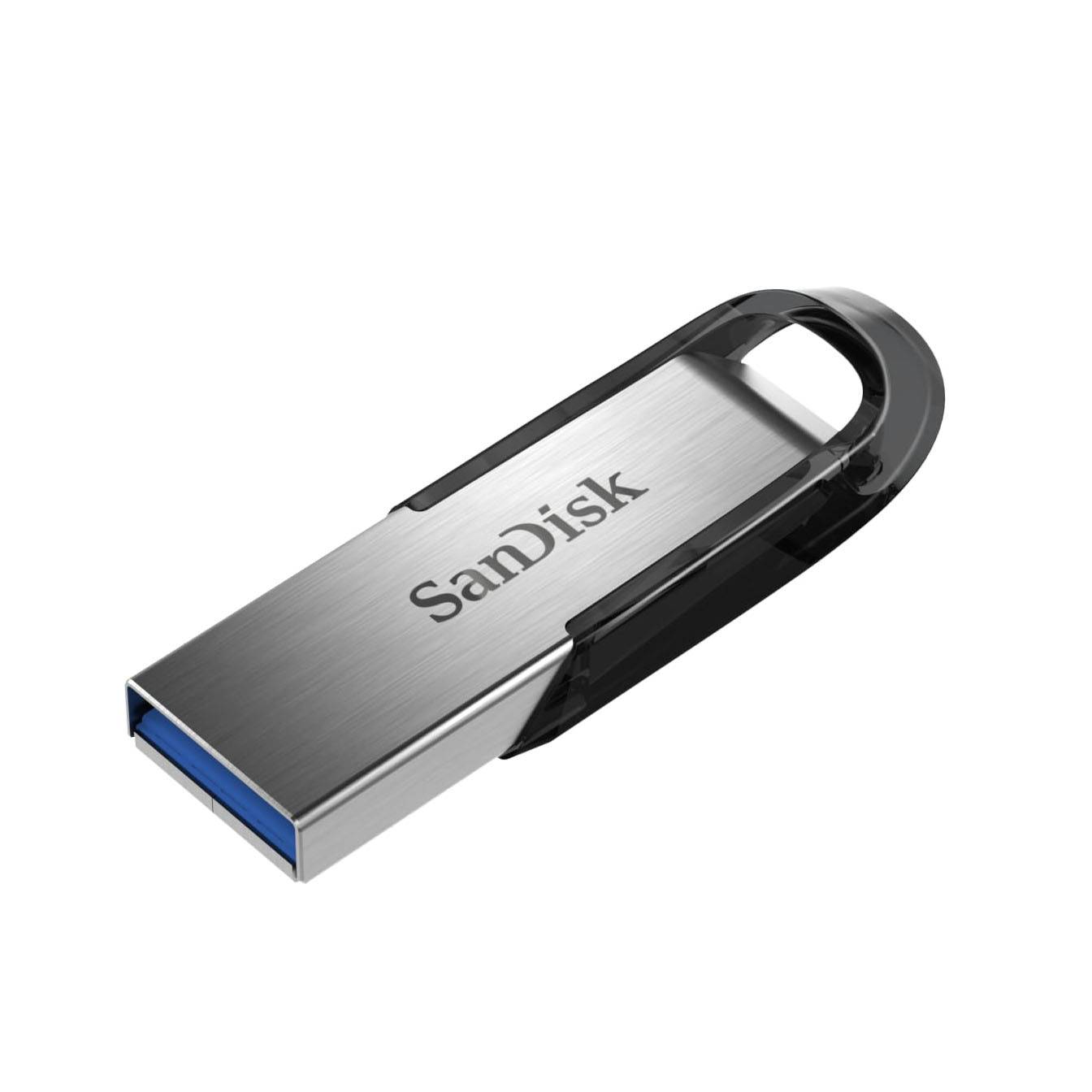 SanDisk Flash Disk 128GB