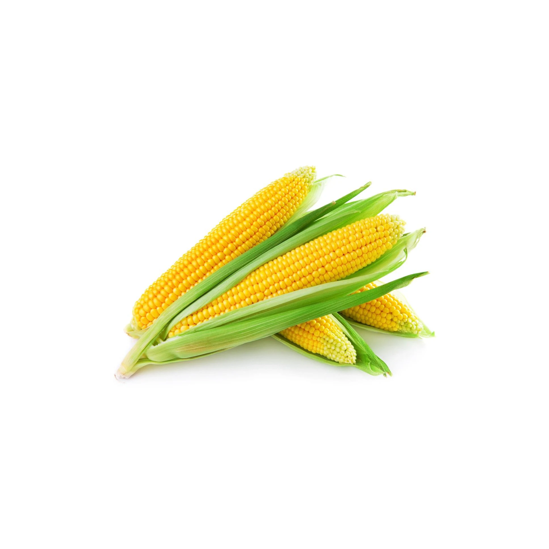 PF SWEET CORN KG