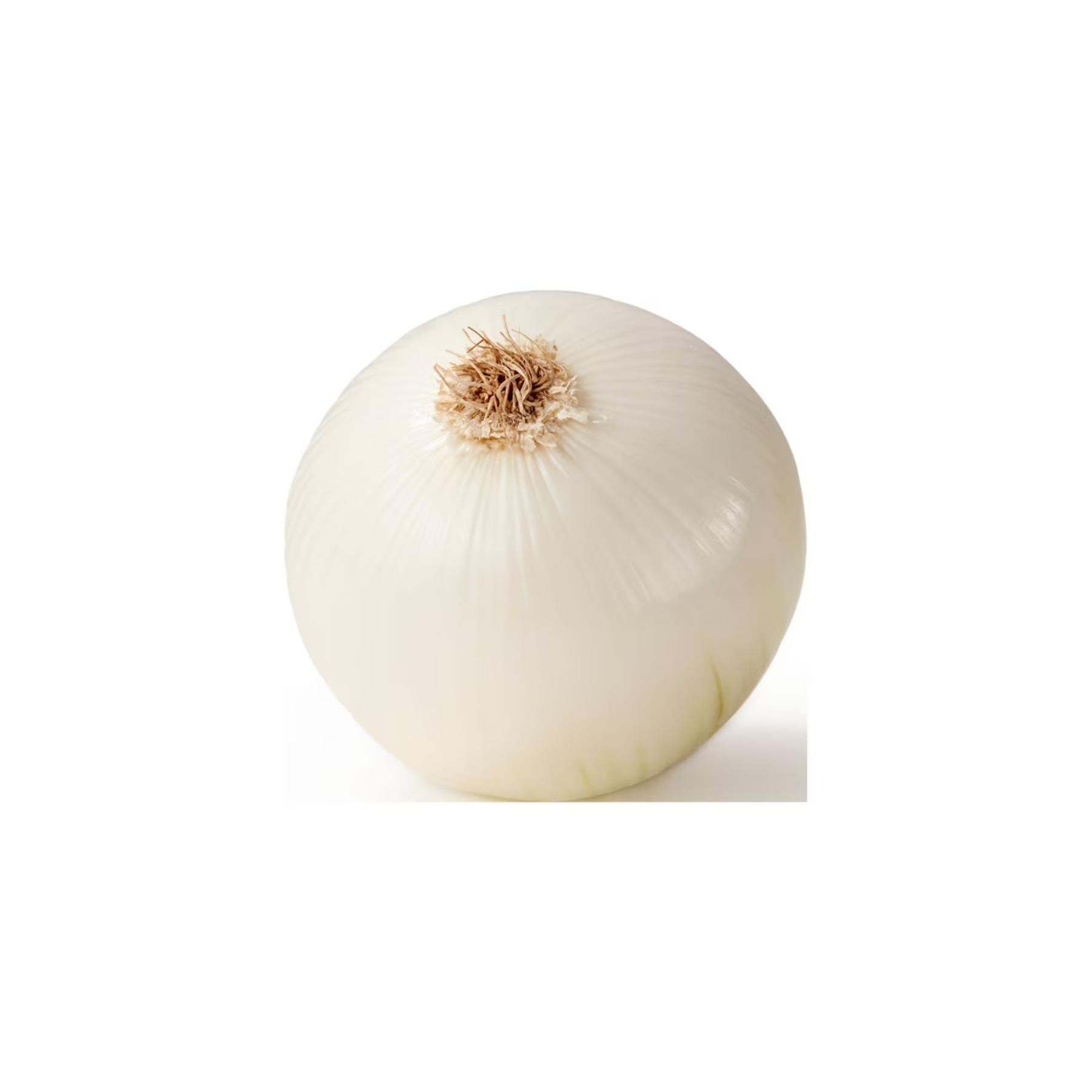 WHITE ONIONS