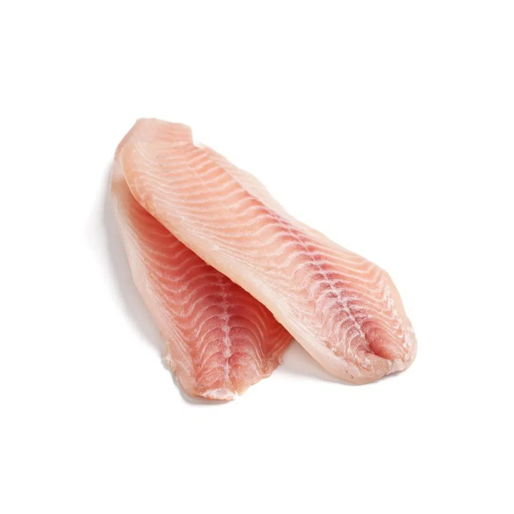 Pangasius fish