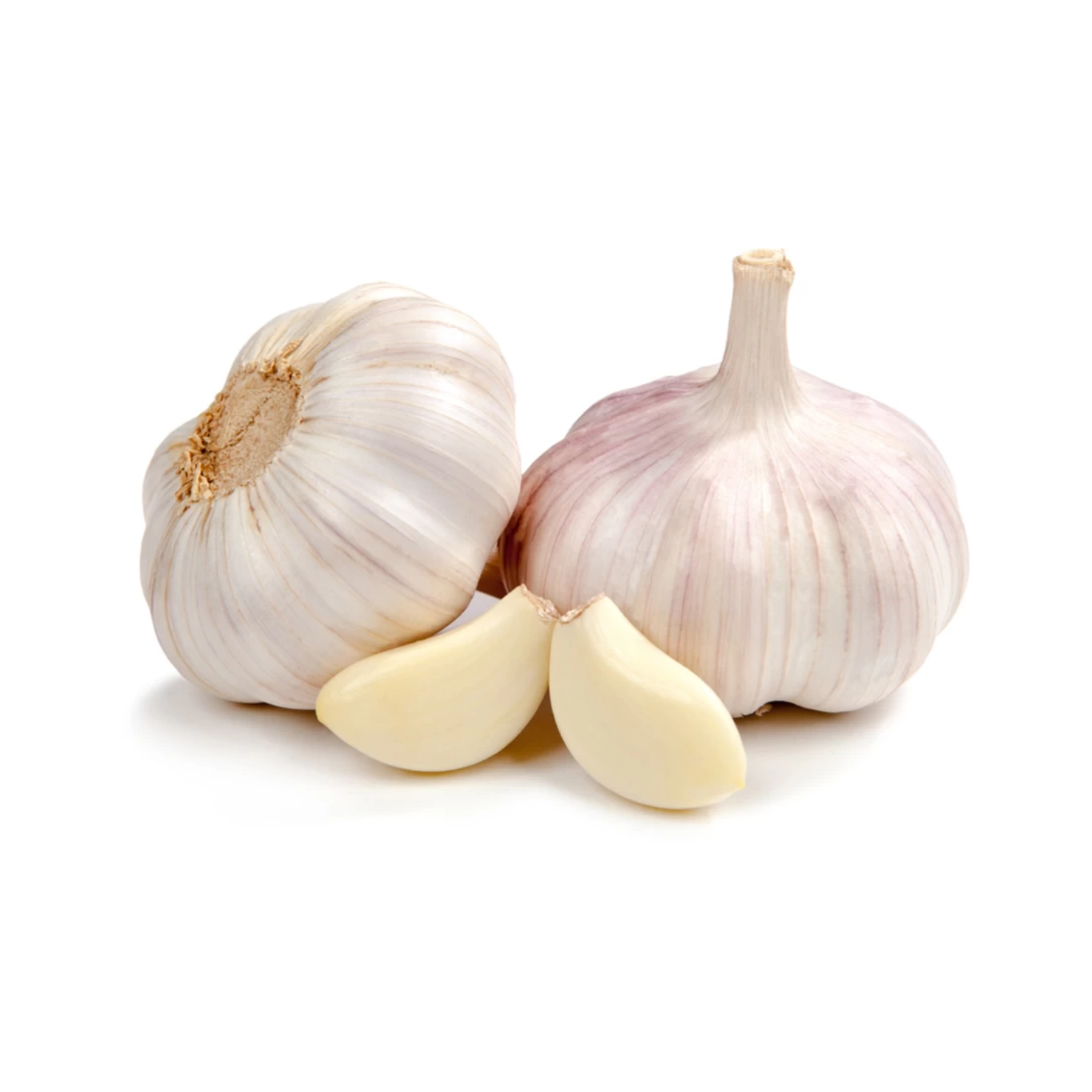 GARLIC/TUNGURUSUMU