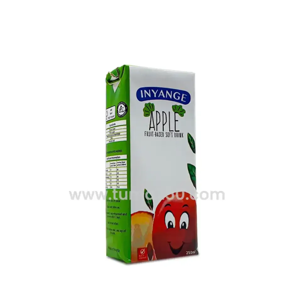 INYANGE APPLE FRUIT DRINK 250ML