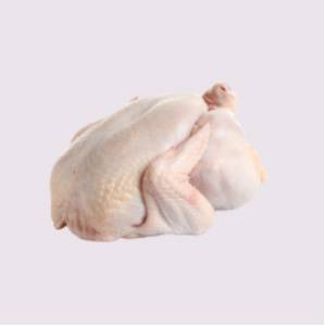 Chicken Capon per KG