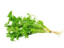 Dhania (coriander) bunch