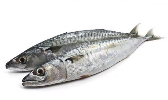 Thompson Fish 1kg