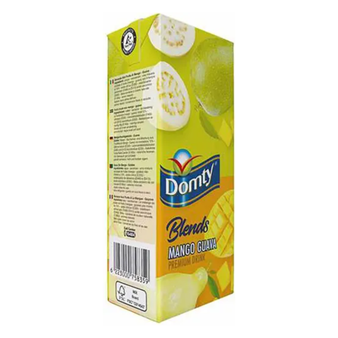Domty Mango Guava Premium drink 250ml