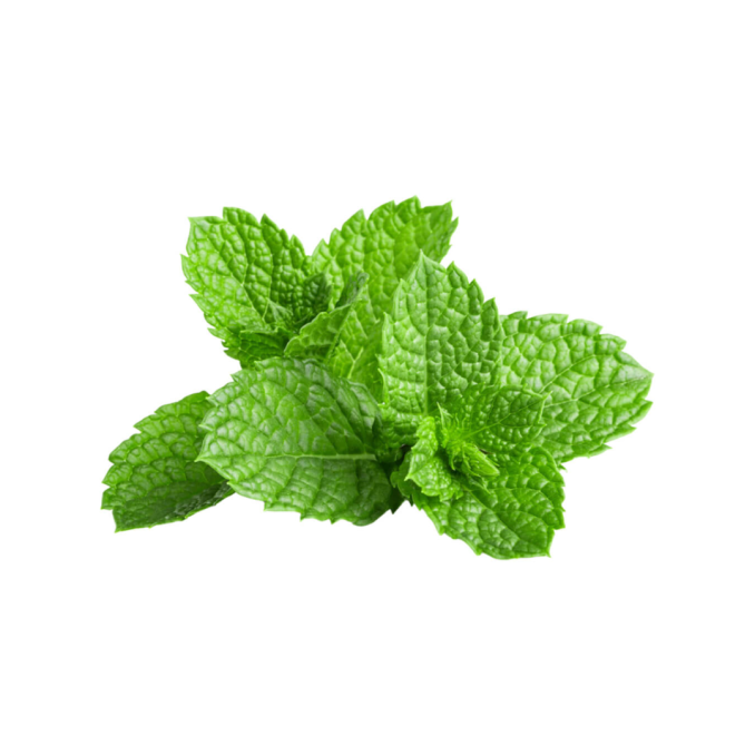 Fresh Mints