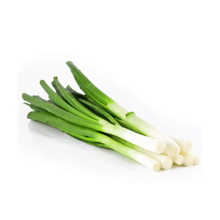 Leeks onion bunch