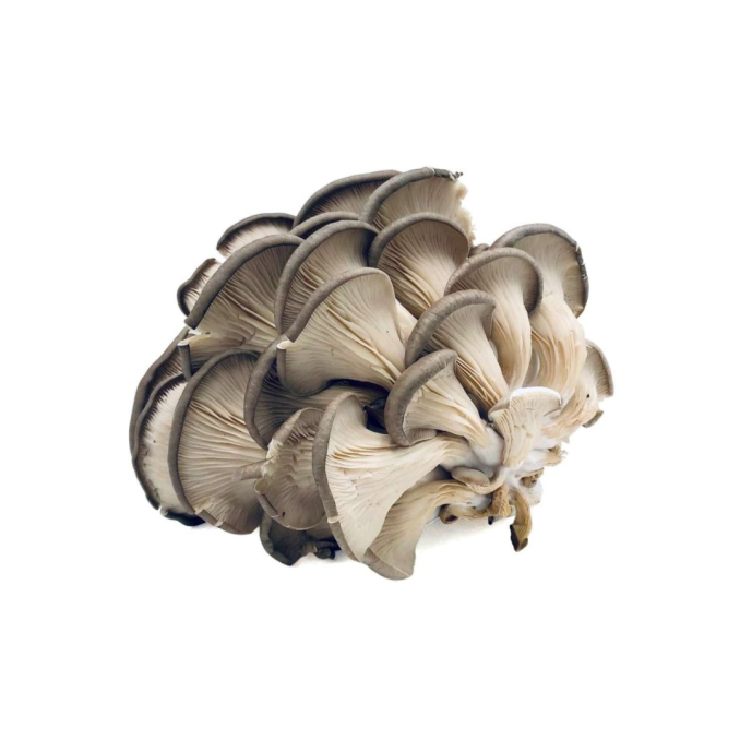Mushroom 1kg