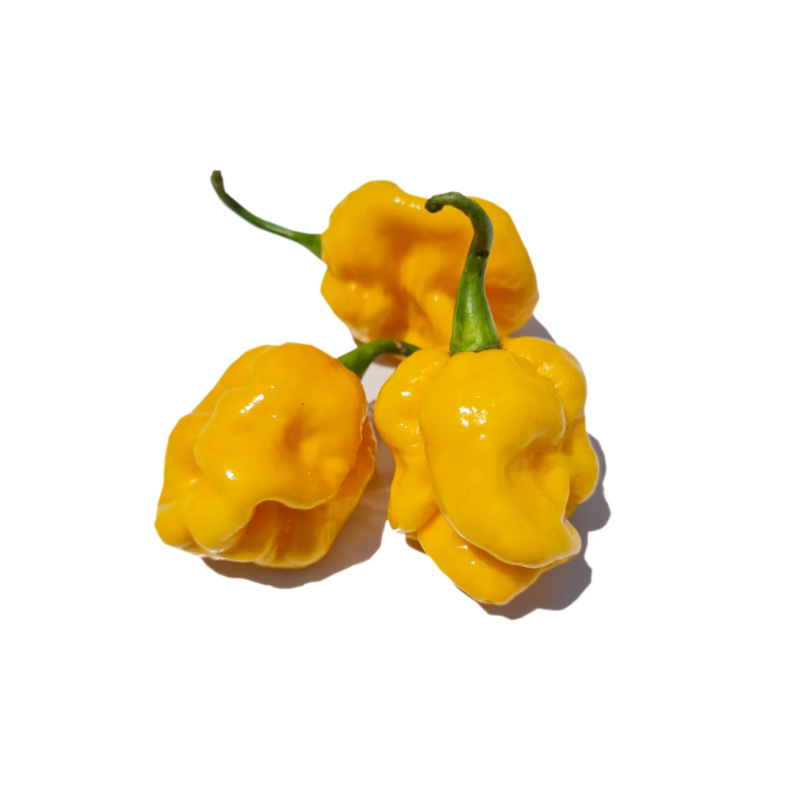 Pili pili Chili 500gr