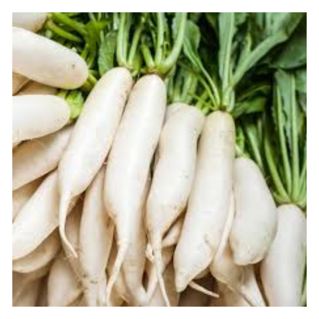 WHITE RADISHES/ BUNCH