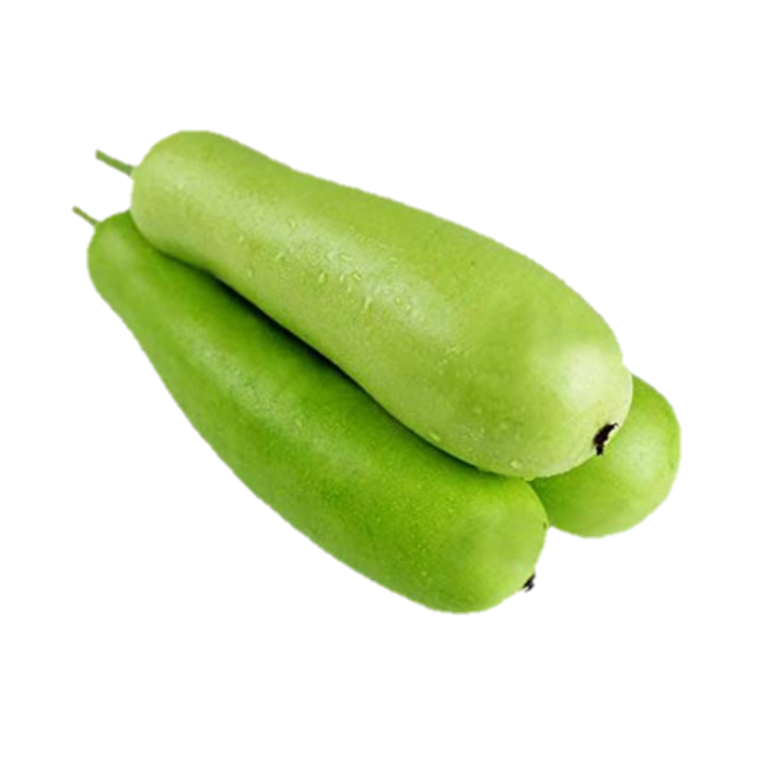 BOTTLE GOURD DOURDHI/PC