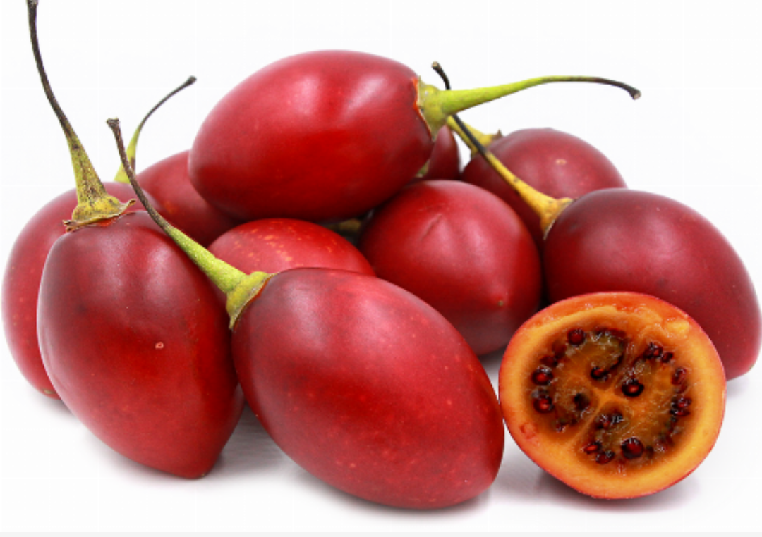 Tree tomatoe 1kg
