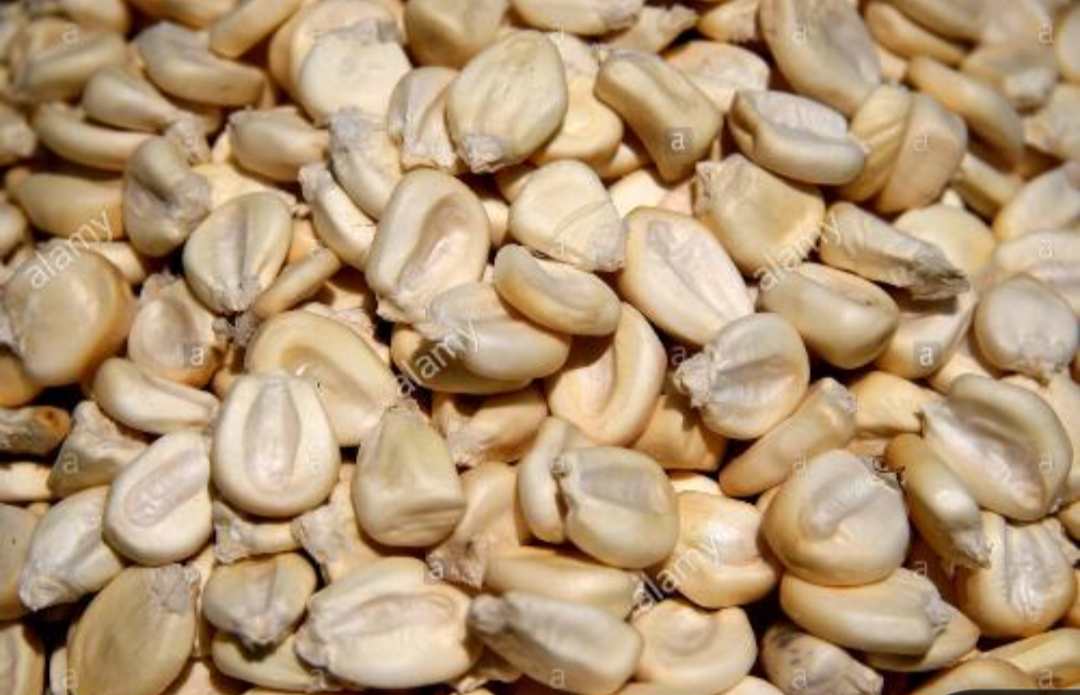 Dry maize 500gm