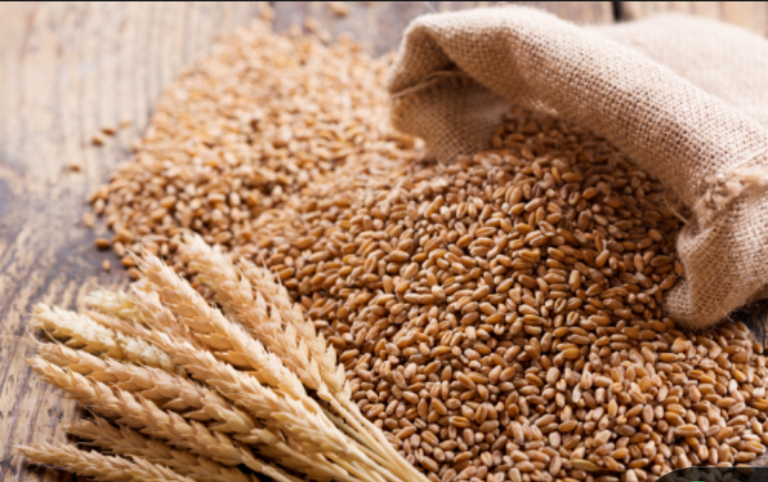 Wheat (Ingano)
     1kg