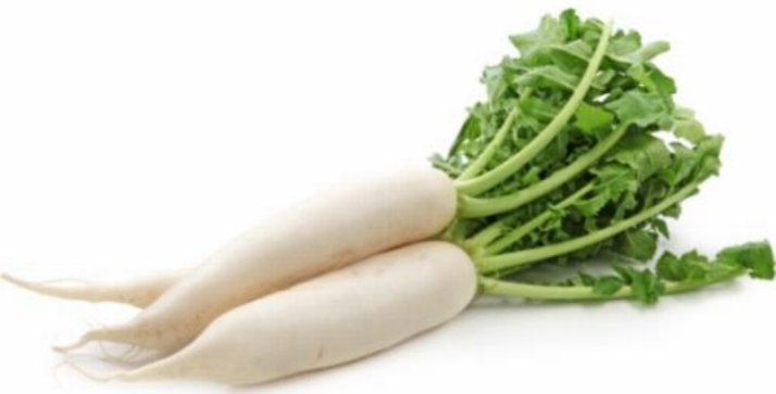 Radish white (bunch)