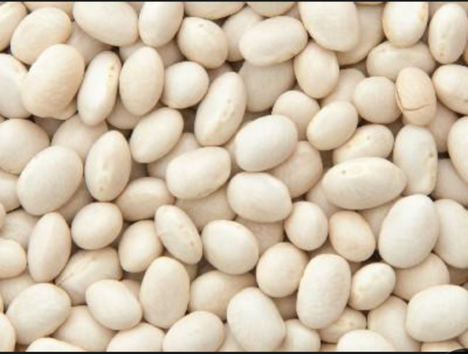 Organic white beans 1kg