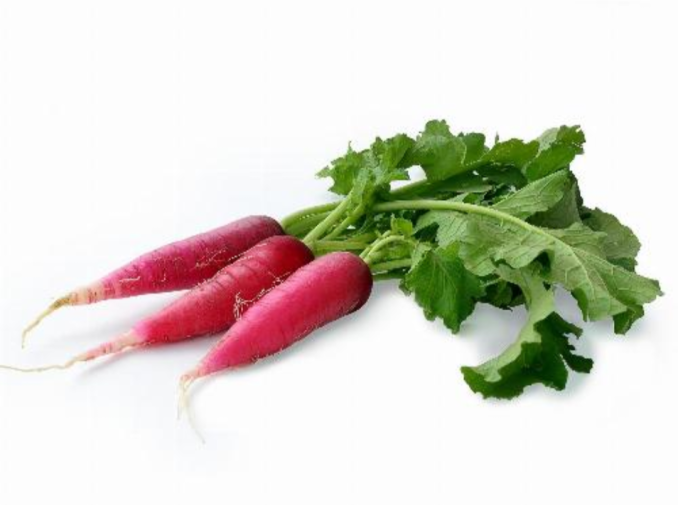 Red Radish bunch