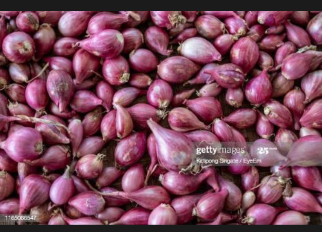 Challot onion 500mg