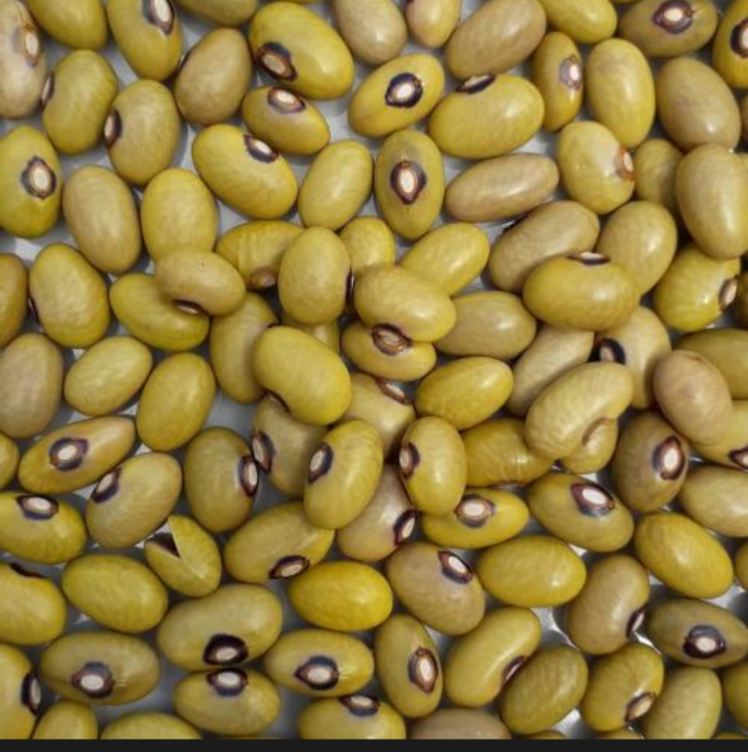 Yellow beans