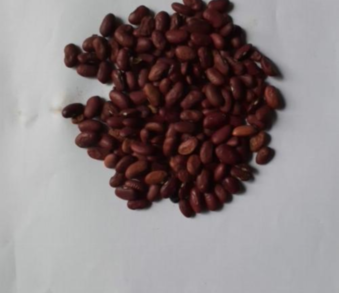Dry beans 🫘 red 1kg