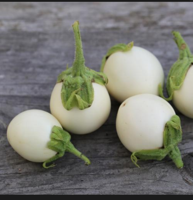 Small egg plants (intoryi) 1kg