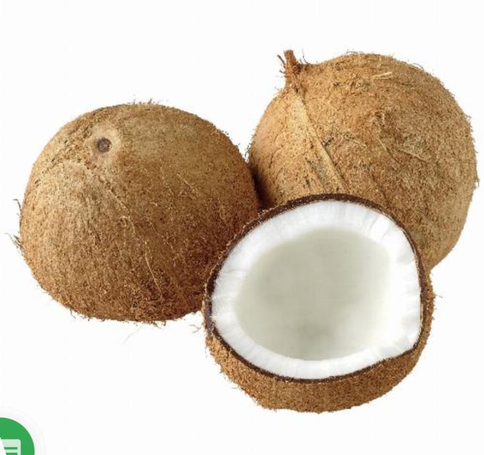 Coconut
