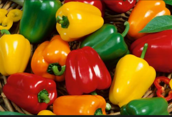 Bel pepper Mix 500 gm