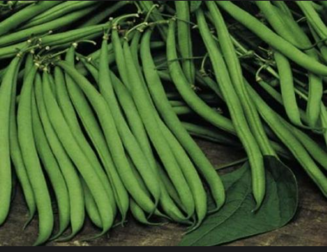 Fresh beans (imiteja) 1Kg