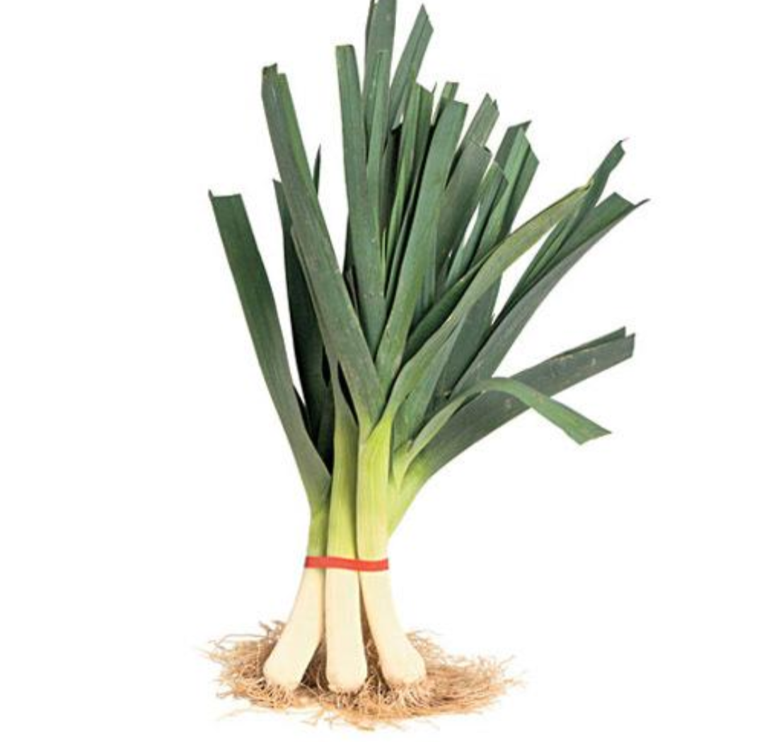 Leeks bunch