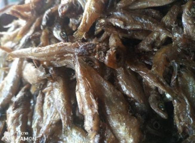 Isambaza zikawushije 1kg