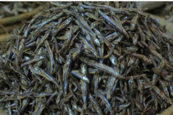 Indagara (indundi) 1kg