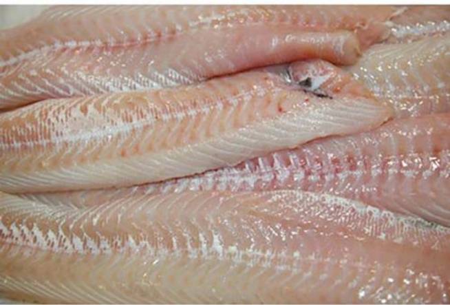 Captain fish fillet 1/2