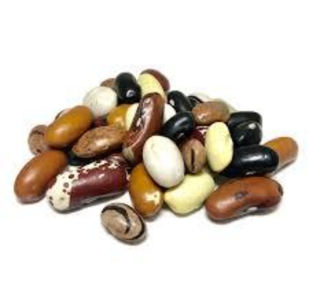 Dry Bean 🫘