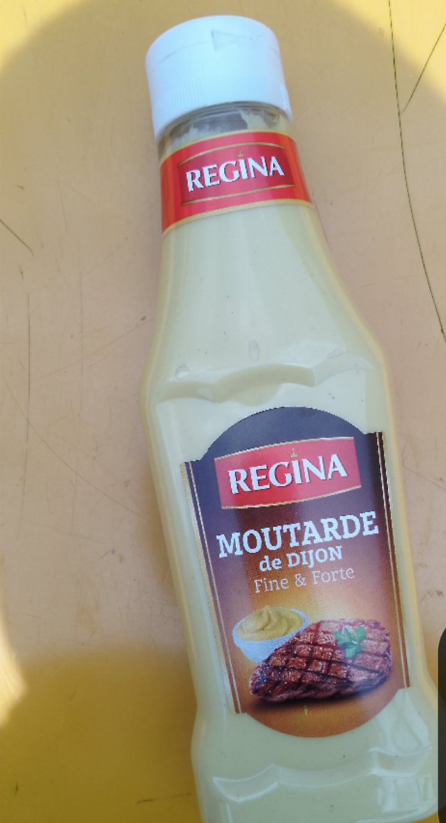 Moutarde de dijon fine &forte (Regina)
