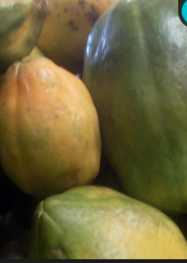 Papaya medium 1pc