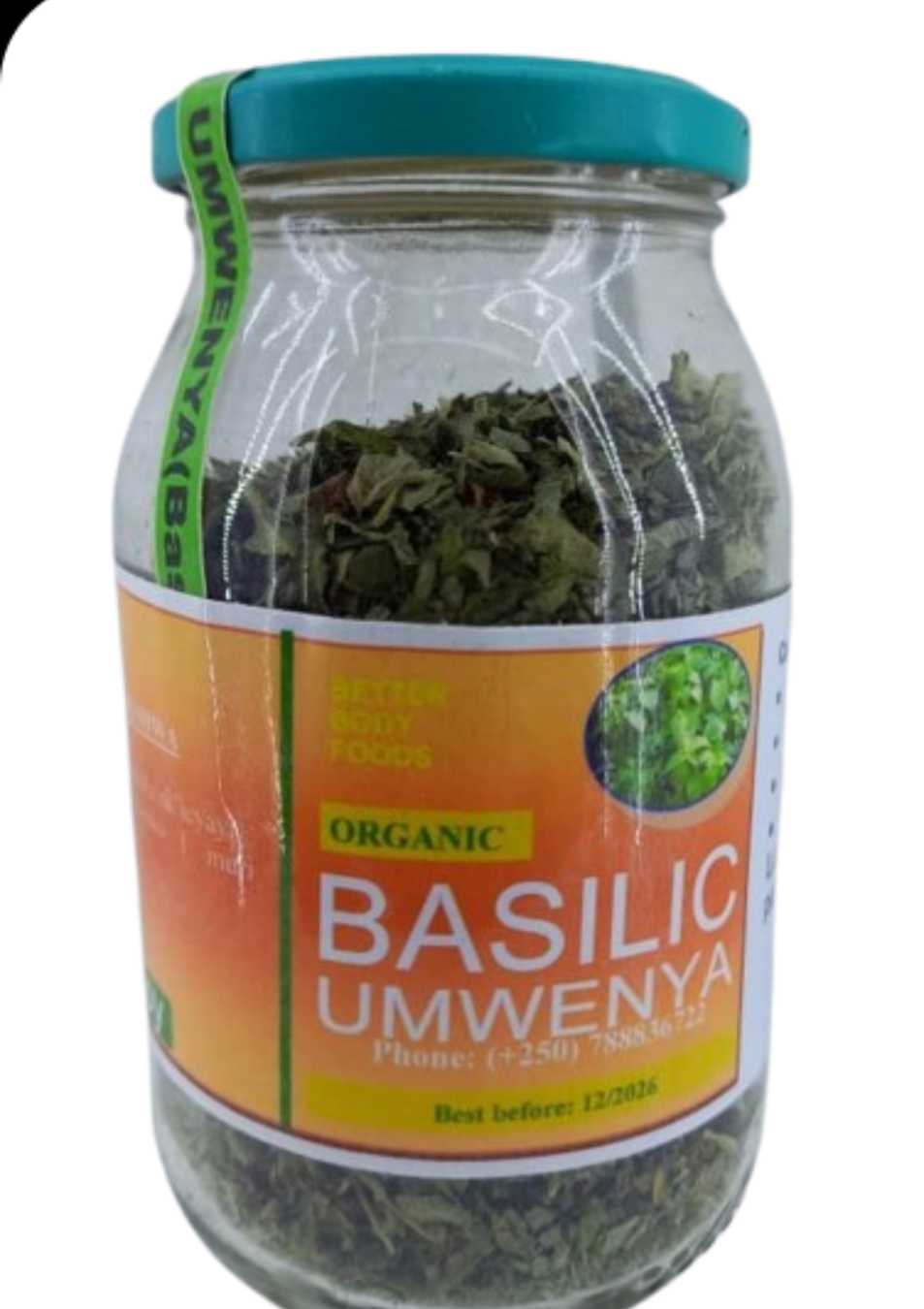 GPP umwenya basilic