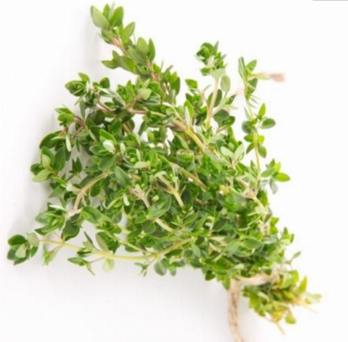 Thyme