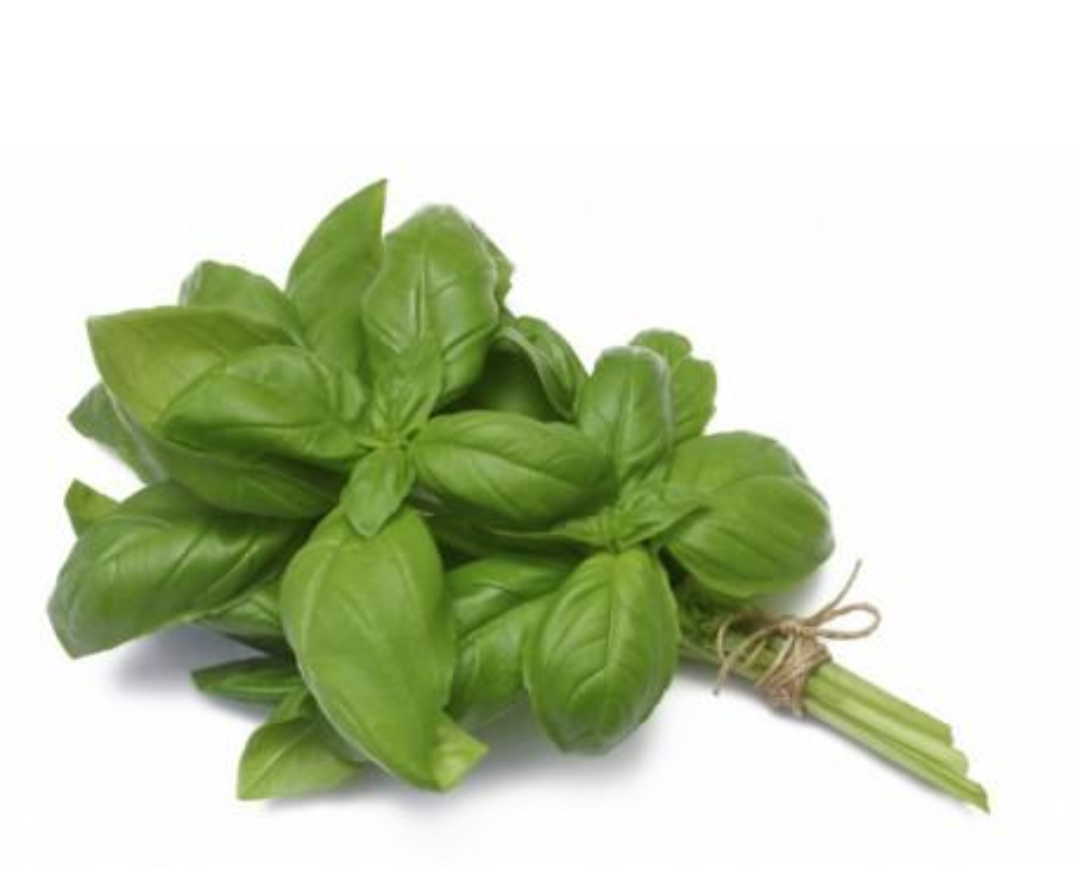 Basil Bunch