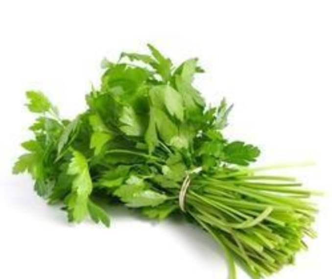 Coriander
