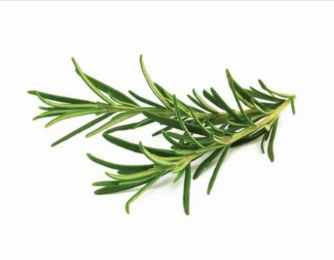Rosemary