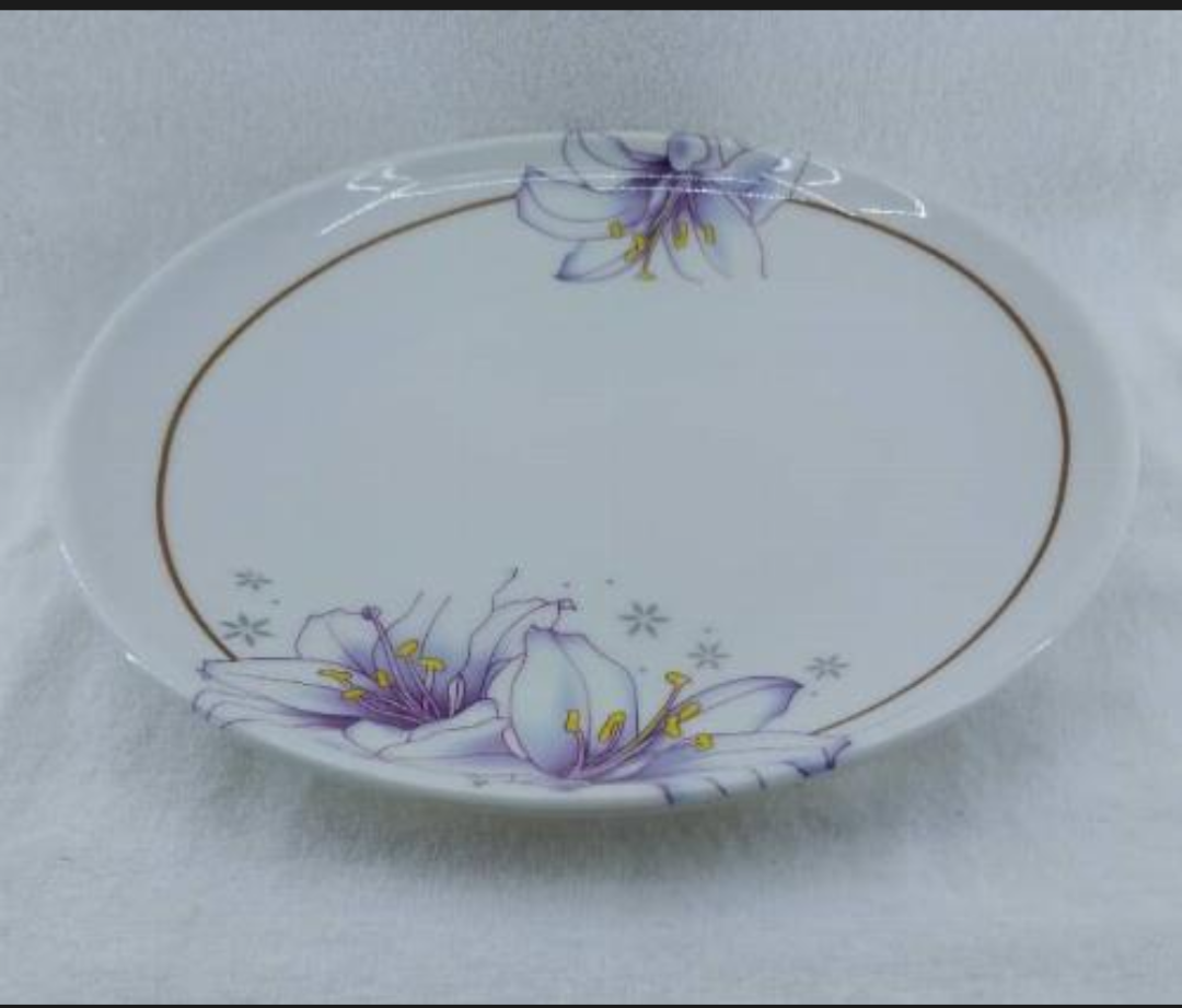 Semi plastic plate