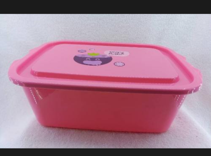 Plastic food container
